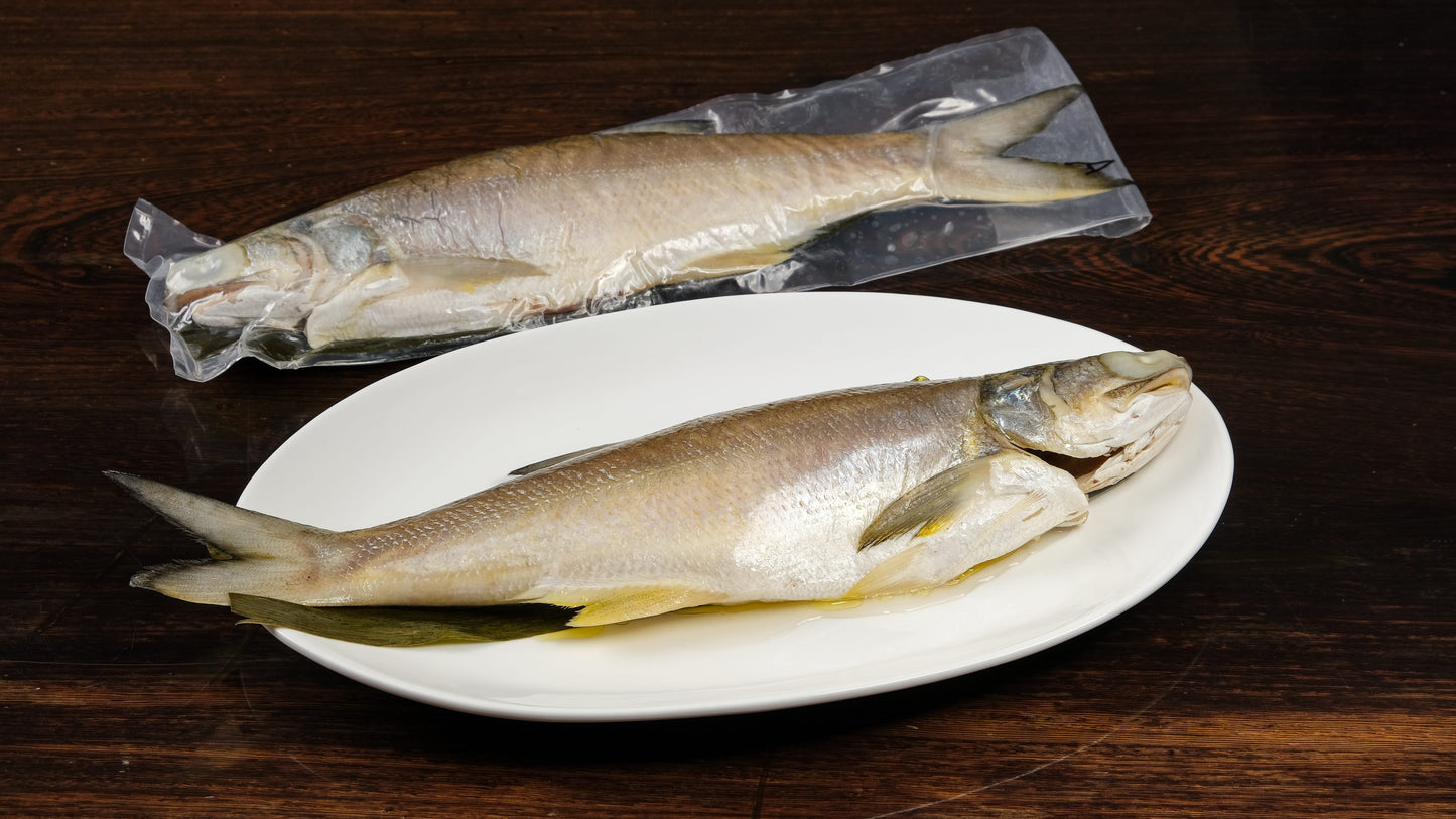 午鱼 Threadfin
